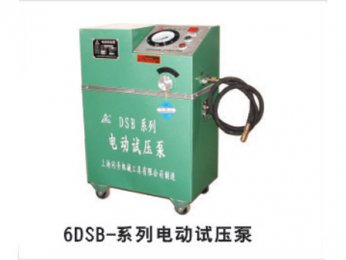 6DSB-系列维多利亚老品牌vic压泵